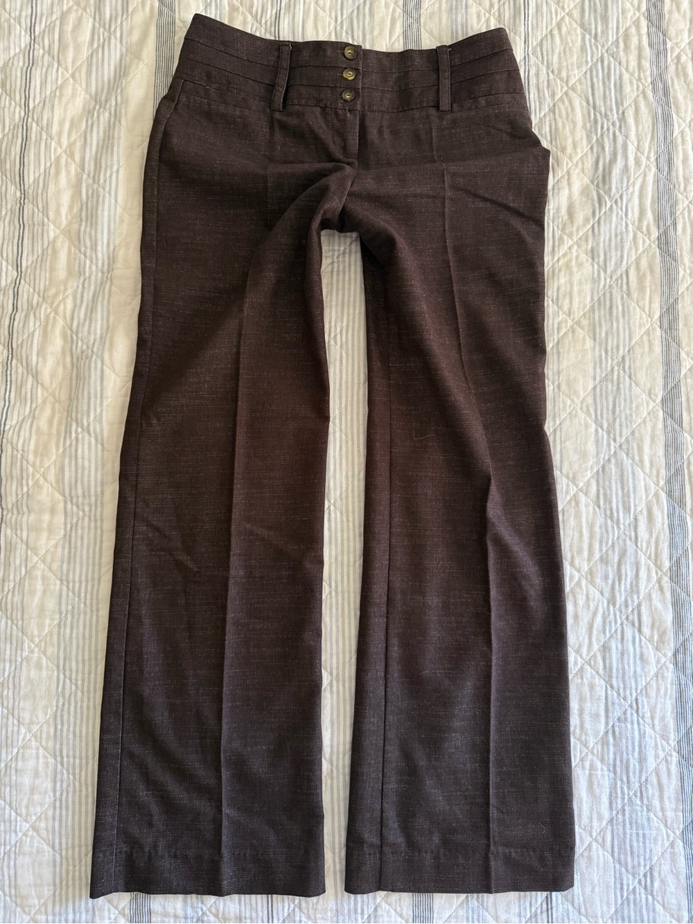BCX Women’s Dark Brown Dress Pants